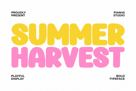 Summer Harvest: A Playful Bold Display Font for Warm, Engaging Web Headlines